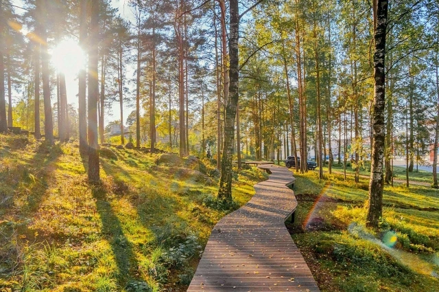 Экотропа в п. Петровское.будет хороша в любую погоду.